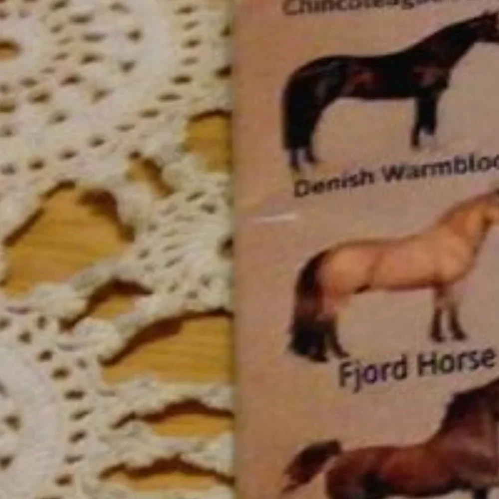 Equine types, sign showing different horse breeds